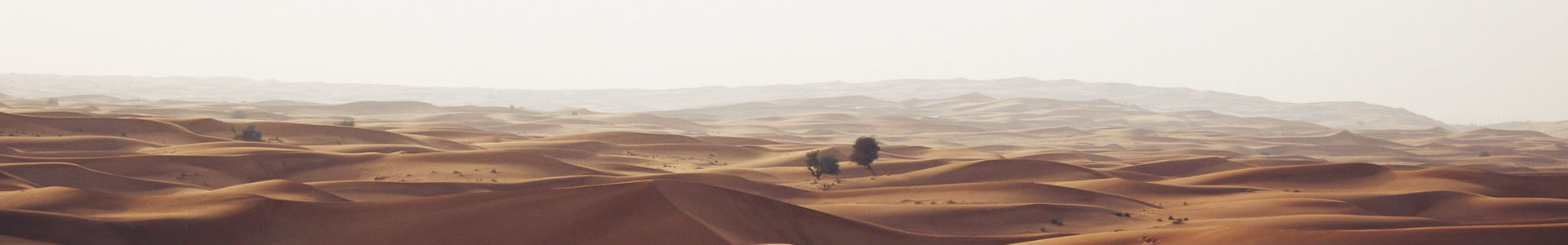 ɶ´Ƽ޹˾